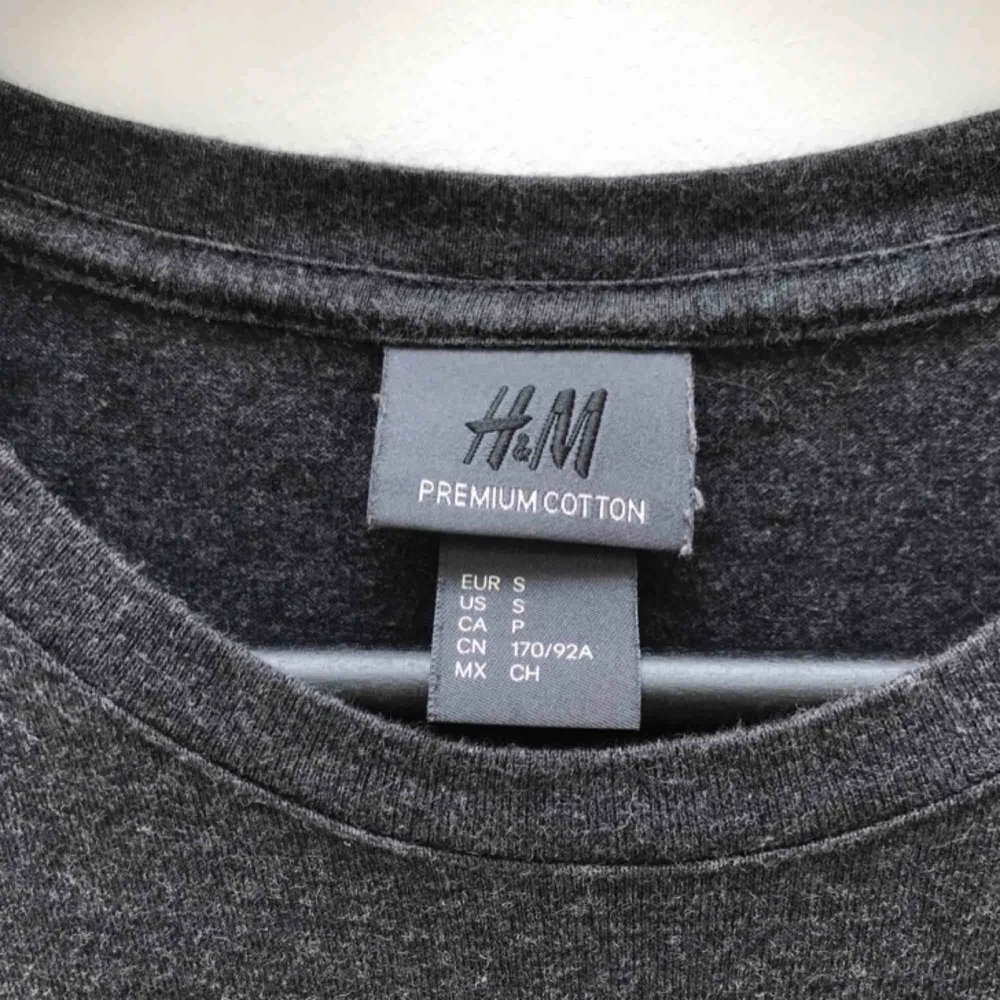 Grå T-Shirt från HM Premium Cotton 🖤 Den är från herravdelning så lite oversize. 29 kr frakt ✨. T-shirts.