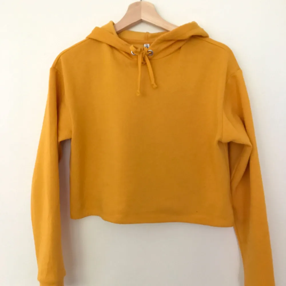 Croppad gul hoodie köpt från annan användare. Har aldrig kommit till användning. Kan mötas i Borås eller frakta. . Hoodies.