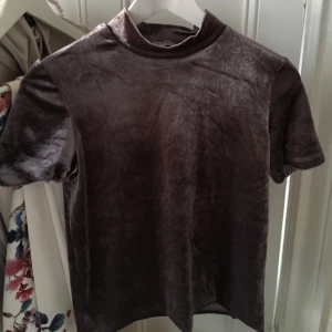  - Snygg velvet topp ifrån Zara. Storlek S, nyskick! 