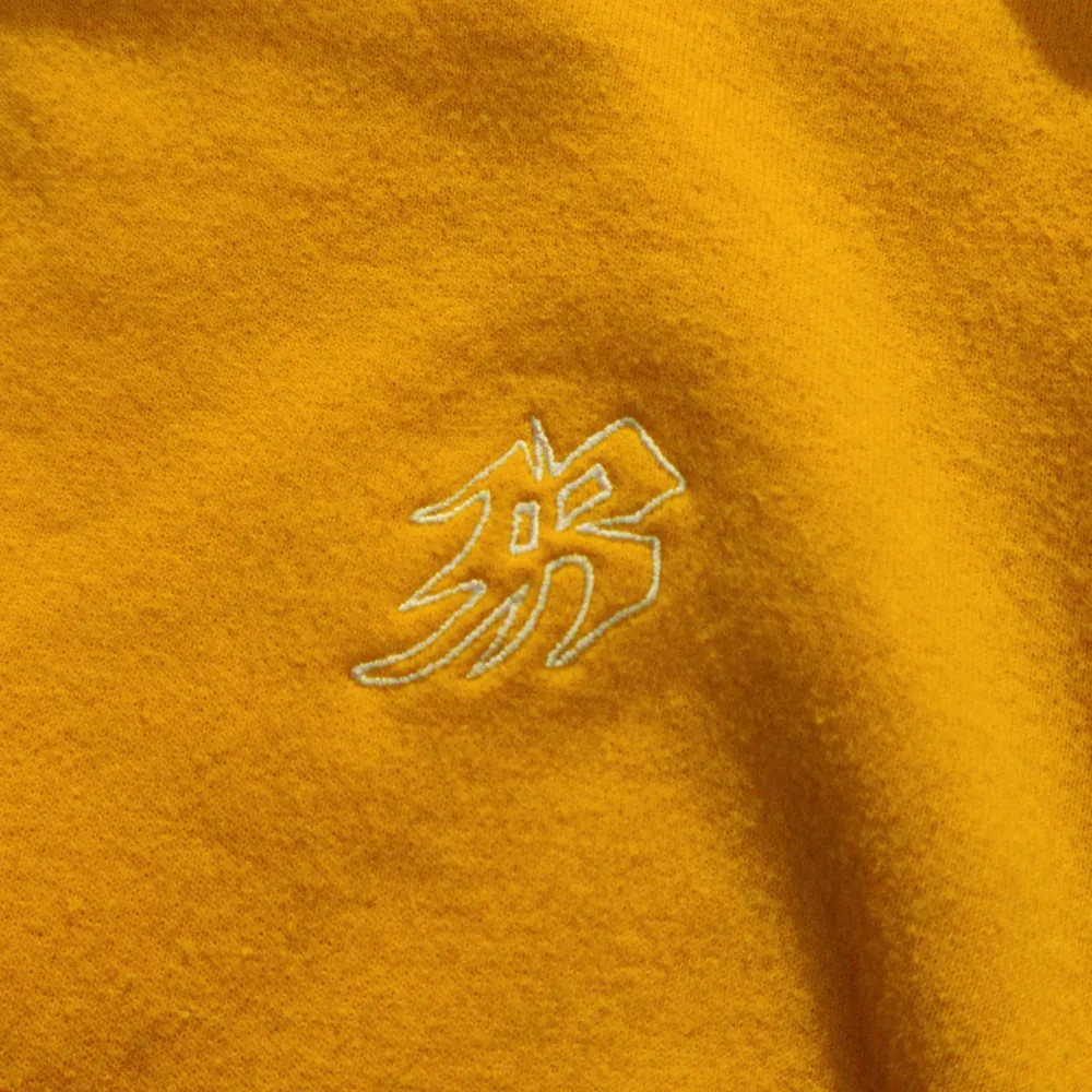 En unik hoodie av ett föredetta klädmärke som hette Reviboyz, som riktade in sig på skid-och snowboard stil.. Hoodies.