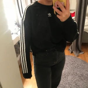Croppad adidas sweatshirt  - Hemma croppad. Ordinarie pris 500kr säljer för 150