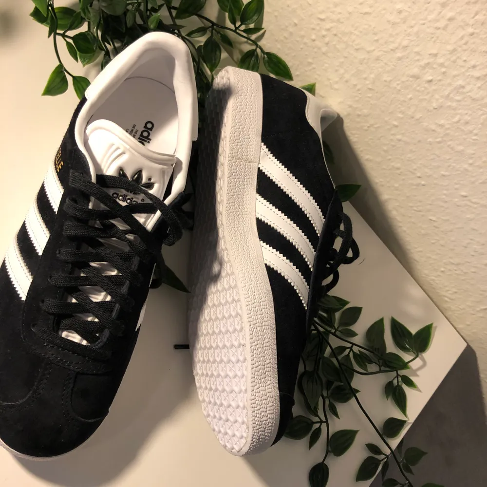 Hej vi på UnitedWearsLogo säljer ett par helt nya Adidas Gazelle i storlek 38, vita skosnören medföljer ifall du vill ha lite variation :). Köpta från Adidas officiella hemsida. Priset går att diskutera vid snabb affär.. Skor.