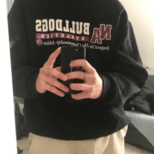 VINTAGE SWEATSHIRTS - Tja säljer dessa, sjukt snygg passform på alla (jag är 176cm) säljer dom för 300kr styckvis 