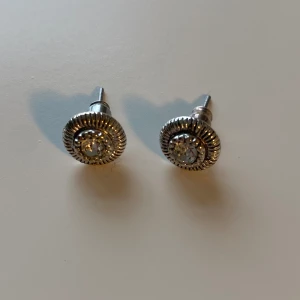 Örhängen - Örhängen från pilgrim som bara använts en gång🤗 kan självklart diskutera pris sch svara på frågor💗