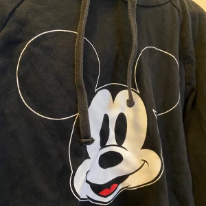 Hoodie  -  Använd flera gånger men fortfarande i utmärkt skick o bekväm