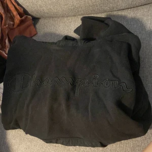 Champion hoodie - Champion hoodie. 