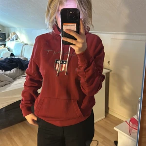 Gant Hoodie  - Gant Hoodie i använt skick  I storlek m herr  Pris går att diskuteras 🥰