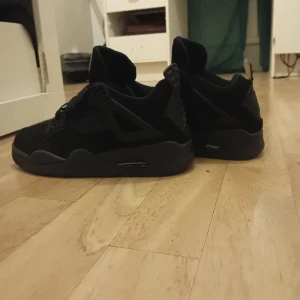 Air Jordan Black Cat 4 - Jag fick dem för present men var för små för mig.  Använd 1gång  Storlek 40 men funkar som 41.  