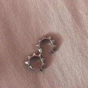 Säljer mina super fina nitörhängen från Edblad  - Hej ja säljer mina nit örhängen från Edblad dom har inga skador alls och är använda en gång. Man får med kartongen ja köpte dom i 🤗💕