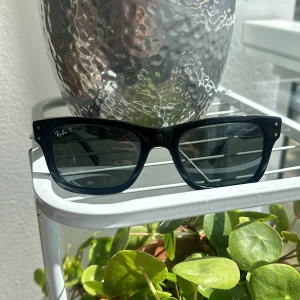 Ray Ban Solglasögon -  solglasögon som nya utan fack 