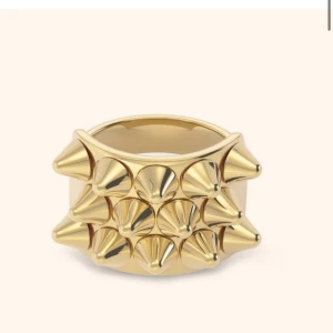 Edblad ring guld - färgen är lite off men annars e den i bra skick 