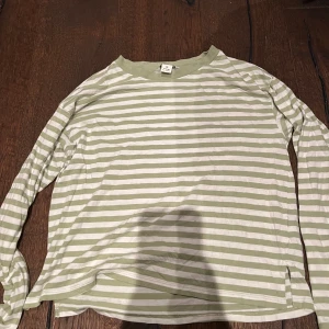 Långarmad  - Randig långarmad 