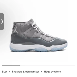 Jordan11 retro cool grey  - Säljer min Jordan 11 retro cool grey för dom e stor den 45 men har 43