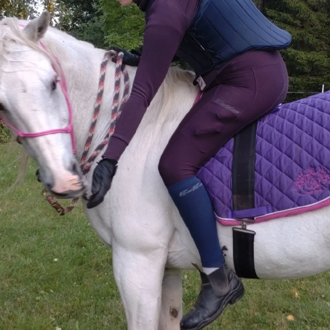 Zaczess leggings  - 90