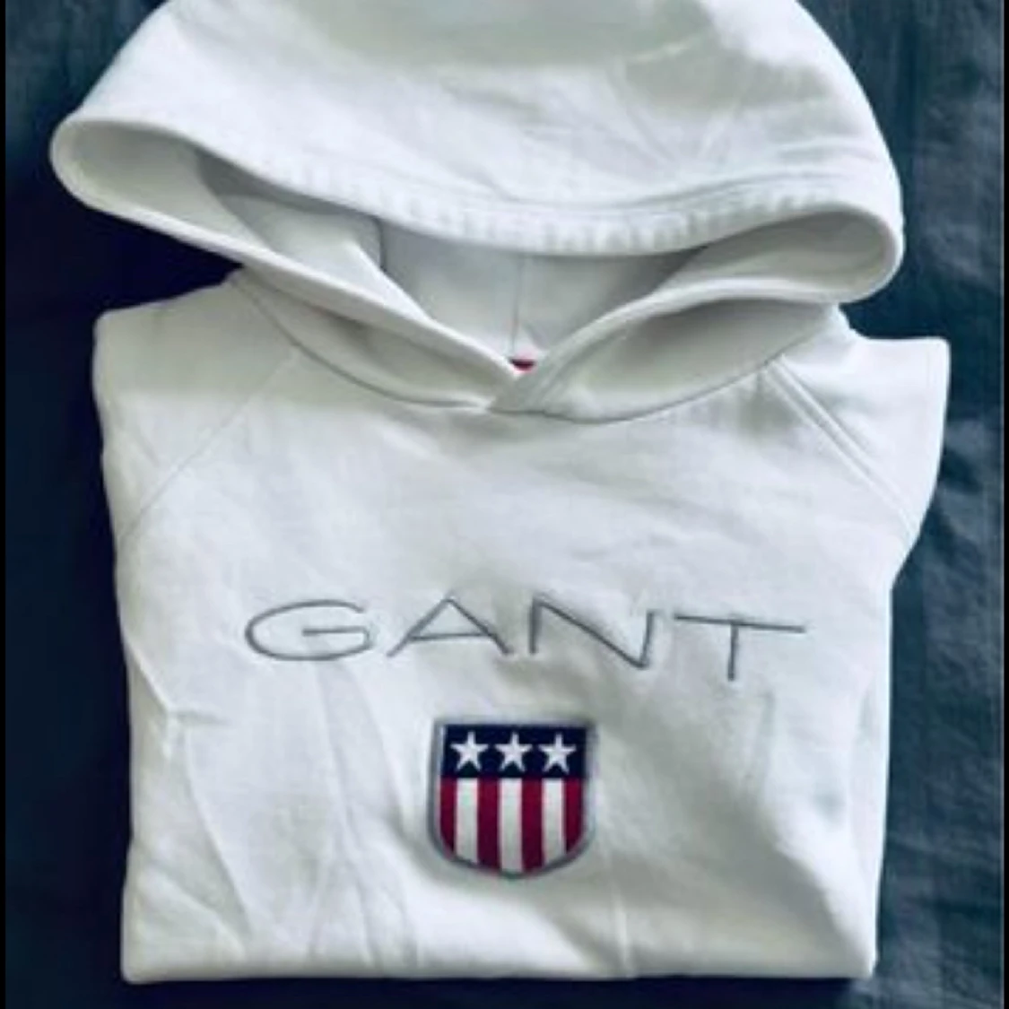 Gant hoodie