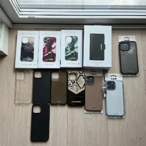 Blåa genomskinligt skal  - Blåa genomskinlig skal från Holdit 