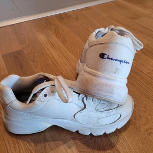 Shampion - Använda två gånger.