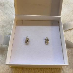 Edblad örhängen säljes - Hej! Säljer nu dessa Edblad örhängen då jag inte använder silver längre. Fick i present nyligen så dom är därför inte använda utan är helt nya! Hör av dig ifall du har frågor kring varan😊 