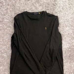 Ralph Lauren sweat shirt - Ralph lauren sweatshirt i gott skick, aldrig använd. Köpt för ca 1100kr. Går ned i pris vid snabb affär!