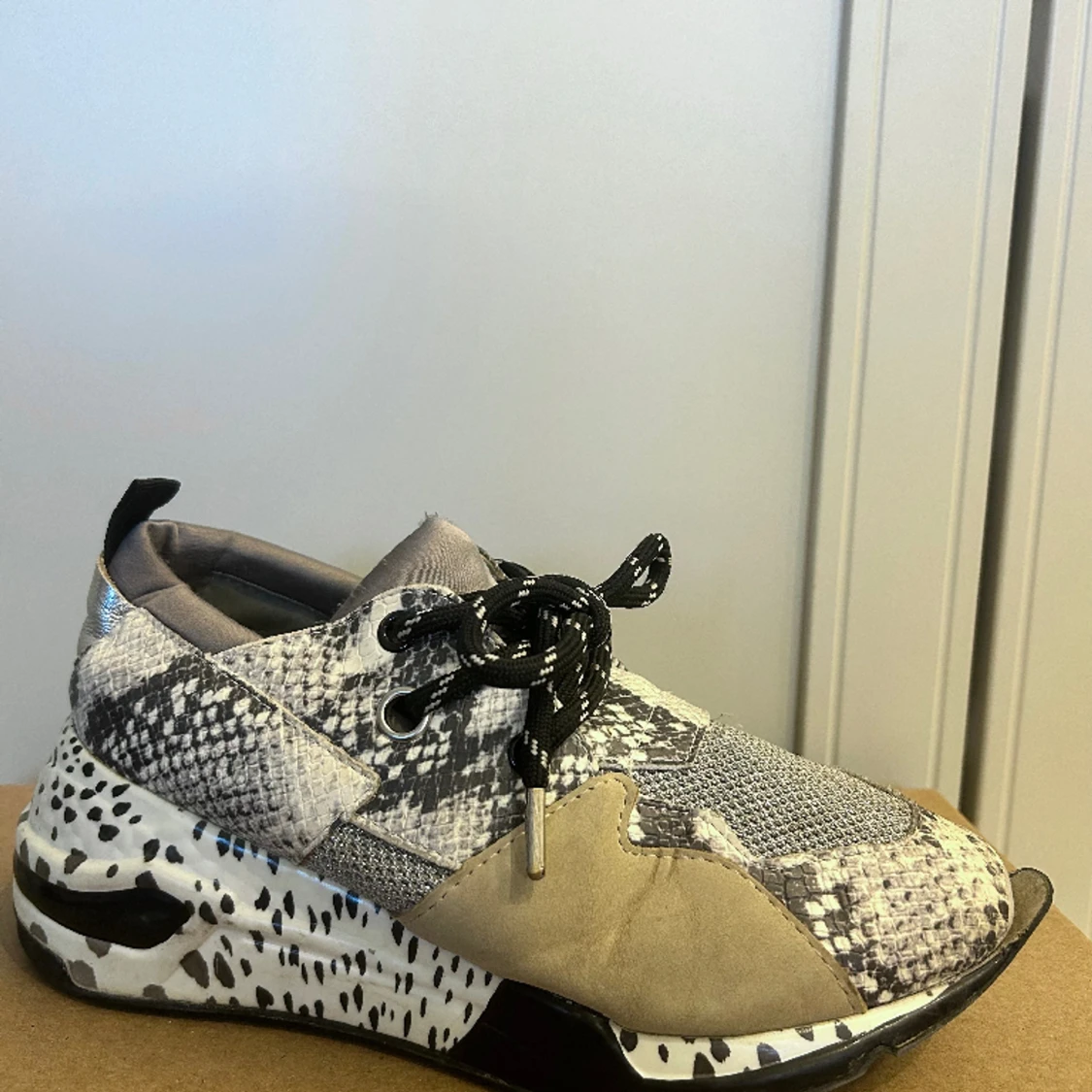 Steve Madden Sneakers