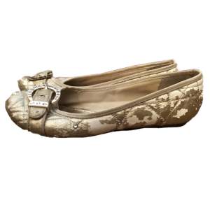 Ett par jätte söta ballerina skor! Påminner om Serina Vanderwoodsen!