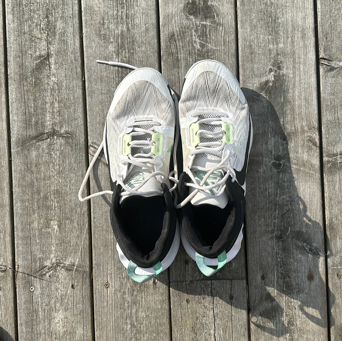 Gannis immortality 3 