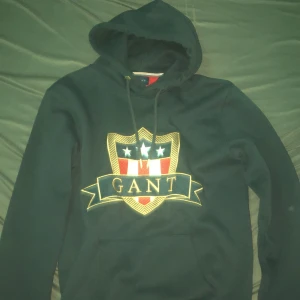 Gant hoddie  - En Gant hoddie i utmärkt skick knappt använd nypris:1000kr