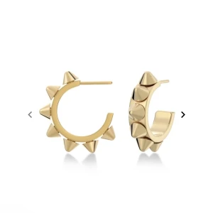 Edblad örhängen  -  Super fina örhängen från Edblad. Varsamt använda säljer på grund av att jag använder silver. pris kan diskuteras kan också tänka mig att byta till silver  i samma modell 💕