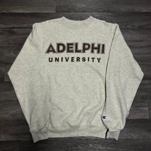 Champion Adelphi Sweatshirt  - Snygg sweatshirt i storlek XS ifrån Champion! Bara att skriva om du undrar över något🙏