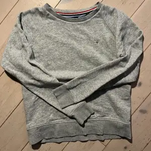 En grå o fin sweatshirt från Gant. I fint skick.🩶