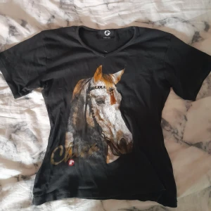 t-shirt - säljer denna t-shirt, använd några gånger men funkar. Finns ett håll på den men går nog att sy till det enkelt.