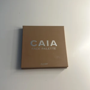 Caia classy palett - Nästan helt oanvänd classy palett från Caia 