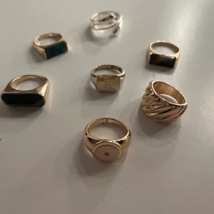 Ringar - Lite olika ringar i både silver och guld, den ena ringer med en kompass liknande grej har lite rost på baksidan men inget som läggs märke till annars är alla super fina! Blivit en silver tjej sp det är därför ja säljer!