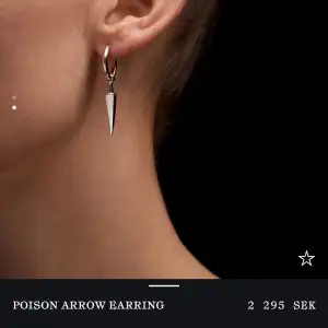 Säljer mitt jättefina örhänge ”poison arrow earring” från Maria Nilsdotter, nypris 2295 kr💕🤍