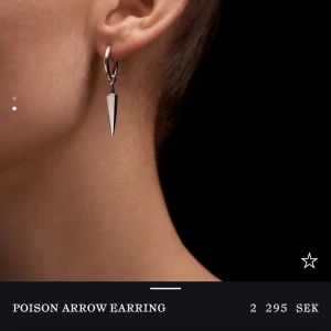Maria Nilsdotter örhänge - Säljer mitt jättefina örhänge ”poison arrow earring” från Maria Nilsdotter, nypris 2295 kr💕🤍