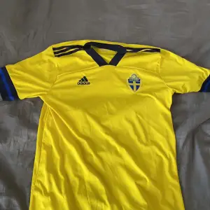 Sverige blå, gul tröja 