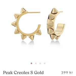 Edblad örhängen  - Edblad örhängen, använda men det är inget som syns💗