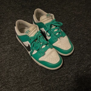 Nike Dunk lows GRÖNA - Strlk 47, i bra skick, lite använda. Skorna kan tvättas innan försäljning. Skriv vid frågor