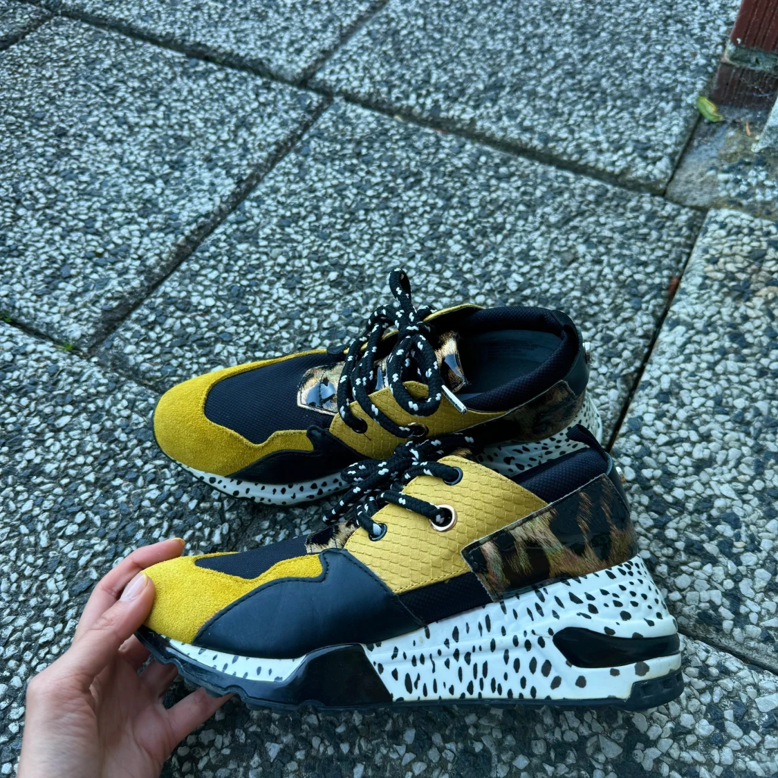 Steve Madden Sneakers - 91