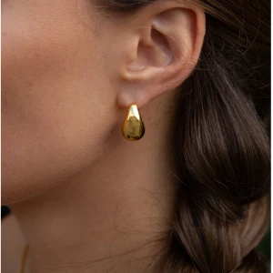 Örhängen från muli - Använda 1 gång. Köpta för 399kr. De är i rostfrittstål så de rostar ej