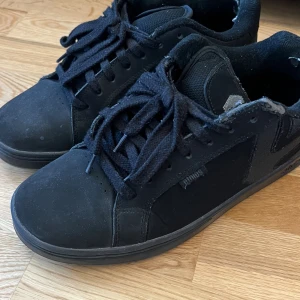 etnies skate skor - har inte skateat dom bara testat 1 gång. Ingen box kvar. den ända skadan är på vänster skon