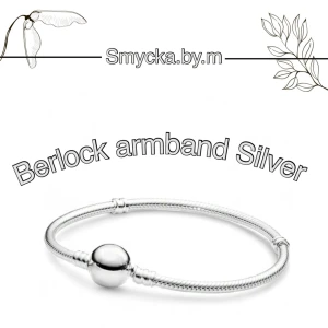 Berlock armband  - Berlock armband silver  Finns i guld också!  Rostfritt stål 