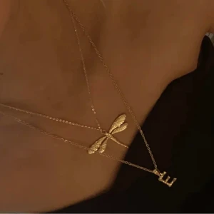 Trollslända halsband - SUPER snyggt i rostfritt stål❣️❣️