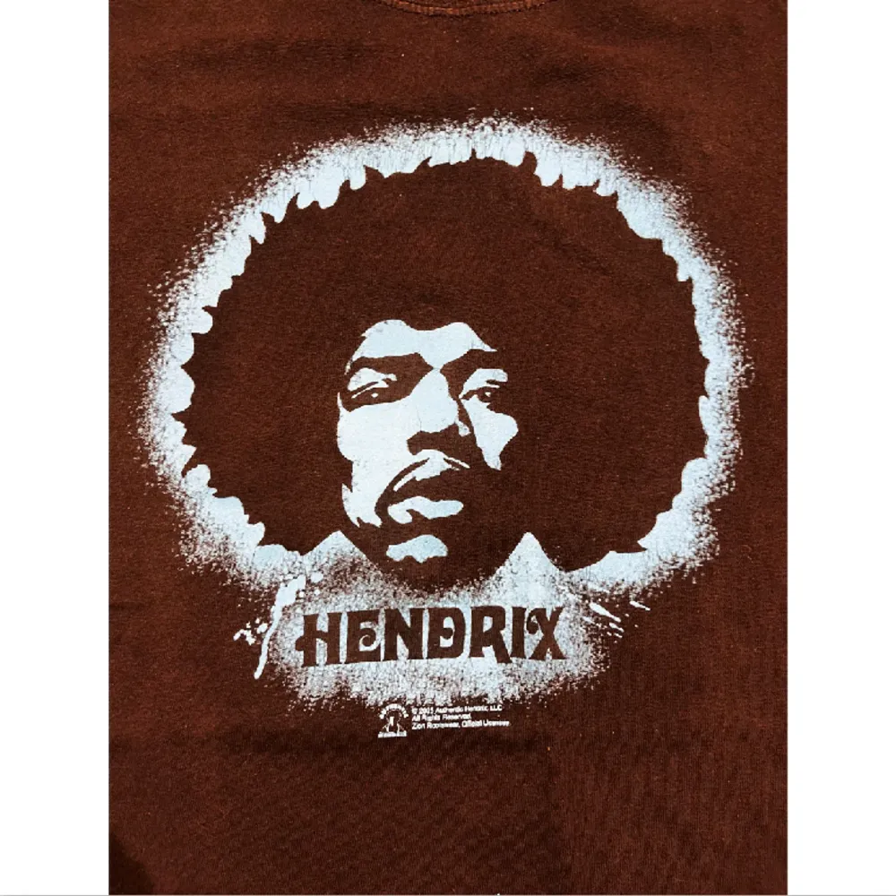 Brun Jimi Hendrix T-Shirt. Ställ gärna frågor!. T-shirts.