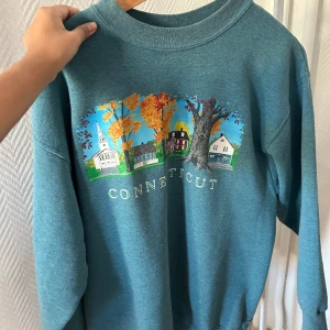 Tröja vintage - Köpt i vintage butik för 300kr. Skick är använt men bra! Ej urtvättad eller med hål, endast lite noppig.   Säljer då den inte kommer till användning nog i mitt överflöd av sweatshirts hemma 