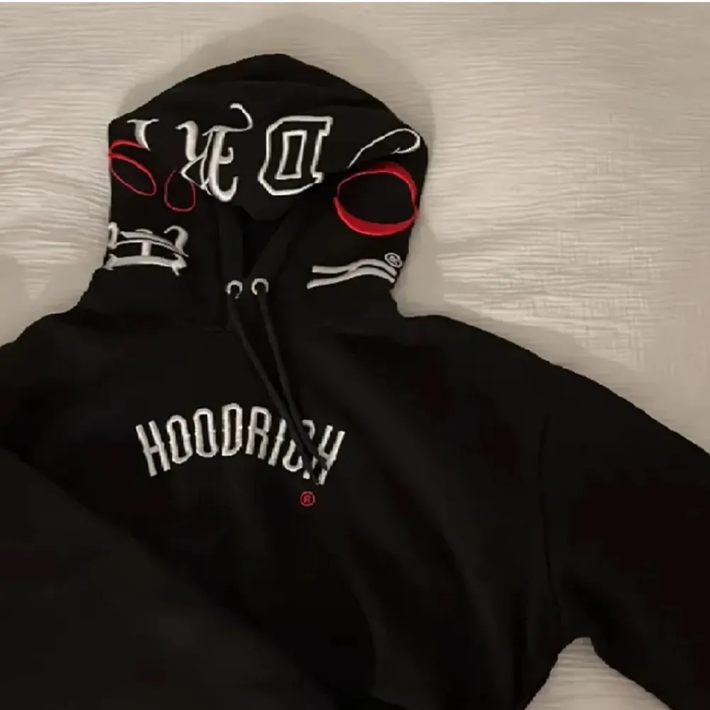 Otroligt fin hoodie köpt för 800kr och är i otroligt bra skick🫶🏼. Hoodies.