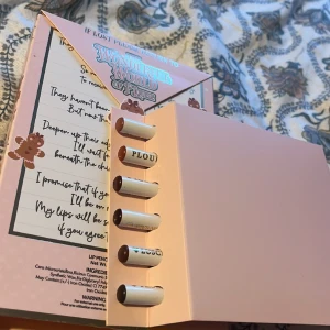 Plouise läpp pennor  - 6 stycken läpp pennor från märket Plouise. En läpp penna kostar 12£ till original pris. Alla är helt oanvända, inte ens swatchade. Kommer i fin Limited edition förpackning 