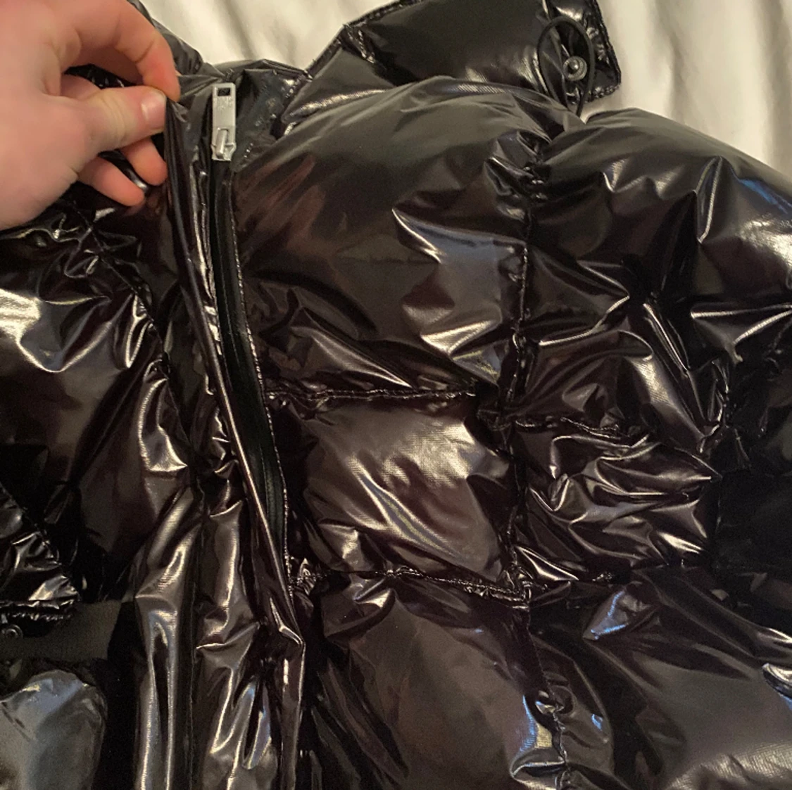 Corvidae v2 Shiny Jacka - 91