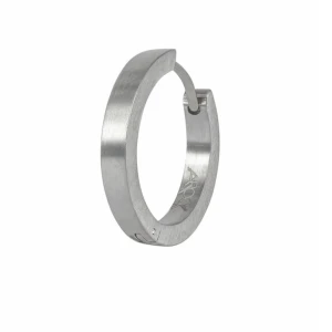 Örhängen  - Ett par silver örhängen som är köpta för ungefär 6 månader sen och är i fint skick