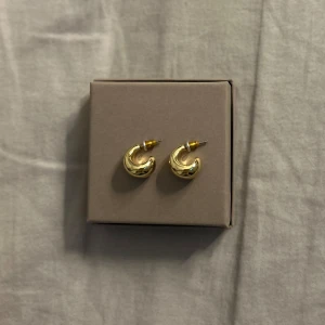 Örhängen  - Ett par fina pilgrim örhängen som endast har provats💕 Jag säljer dom för att jag inte passar i guld så dom har bara legat i snyckeskrinet🩷